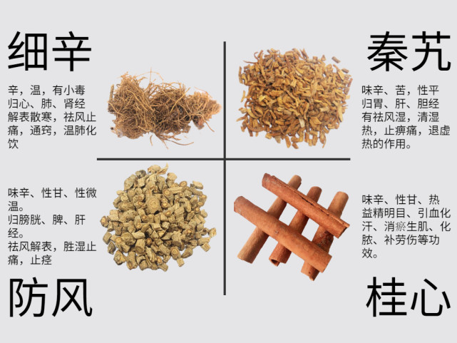 以"细辛,防风,秦艽,桂心"四味药为臣药,其中细辛擅长搜刮阴经中的风寒