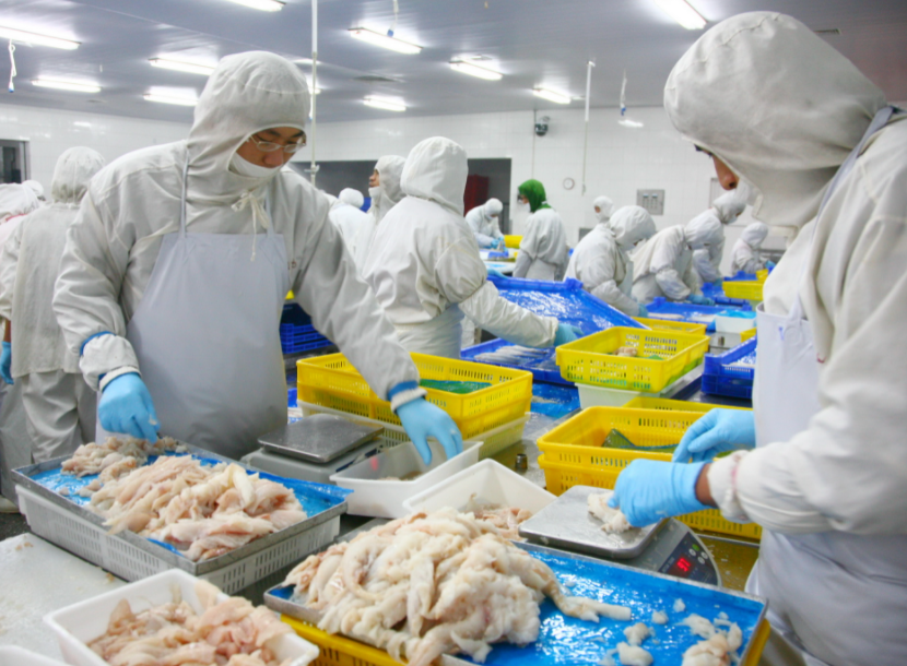 加工后的食物中含有一种物质,叫做反式脂肪酸,和人体很多脂肪酸不同的