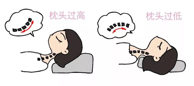 枕头的使用,会直接影响到我们的睡眠和精神状态:高枕容易引起颈椎病