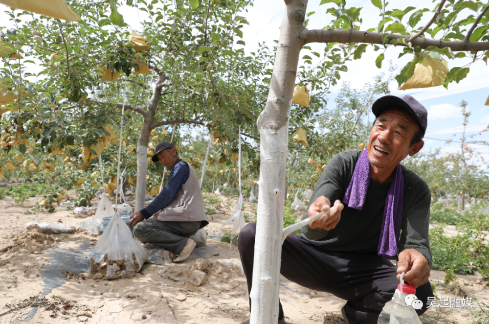 吴起县庙沟镇:种养产业旺 振兴步伐快