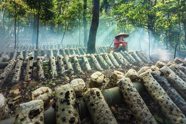 柘荣县有多少人口_宁德9区县人口一览:蕉城区62.38万,柘荣县9.3万(2)