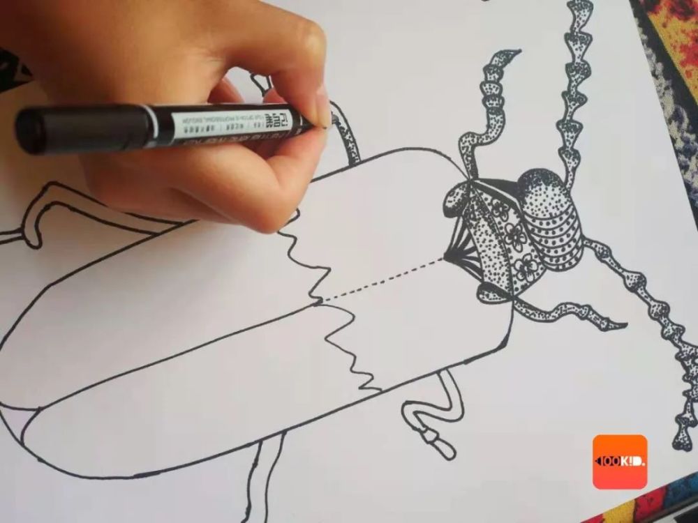 儿童画创意 少儿美术线描画教程6例 培养孩子的观察力和创造力 腾讯新闻