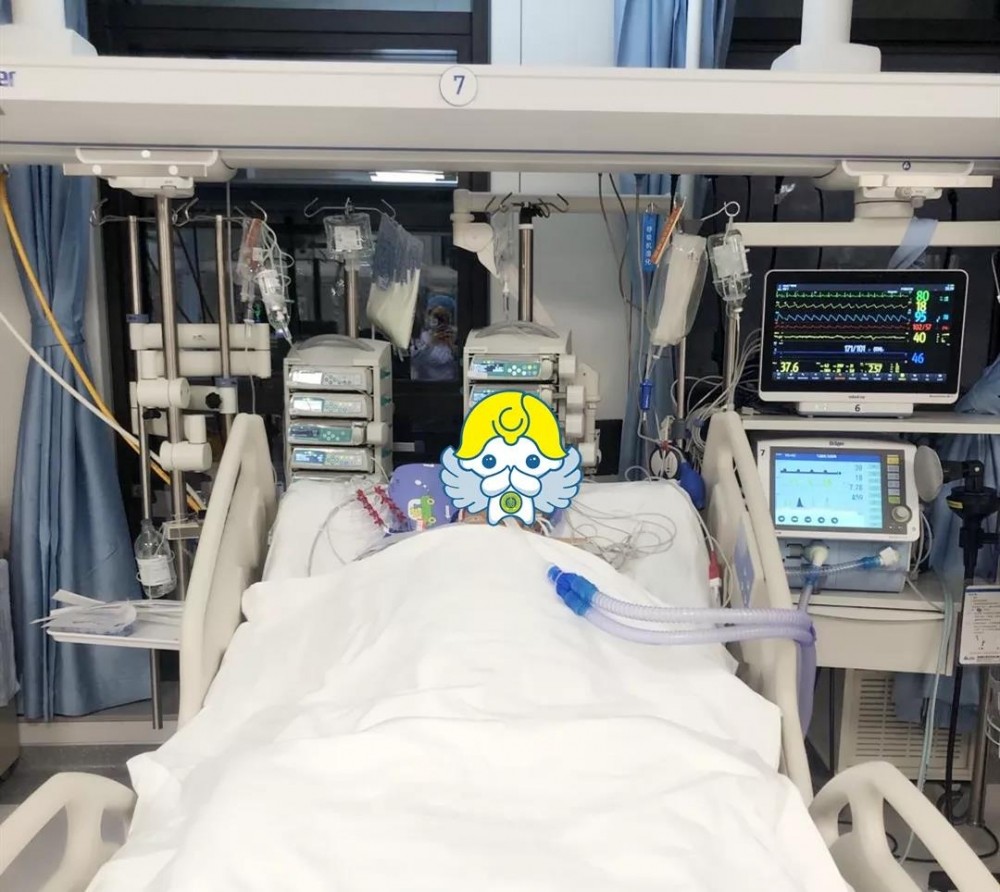 重庆北部宽仁医院七旬大爷患鹦鹉热住进icu1个月全力抢救转危为安