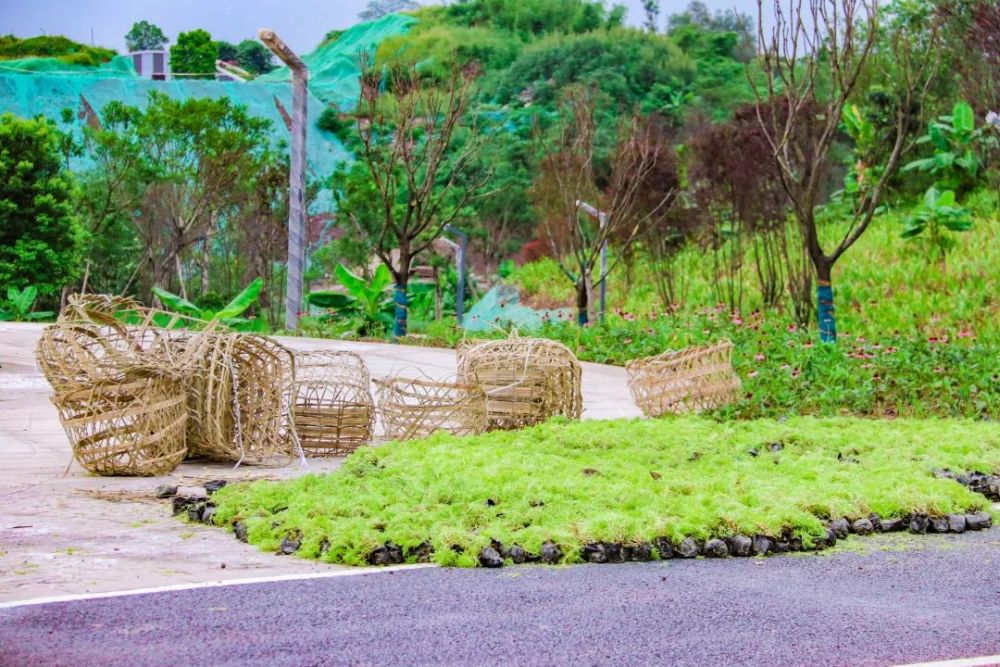 愛護花園環境地址收好瀘州龍澗溪公園位置:瀘州市龍馬潭區蜀瀘大道與