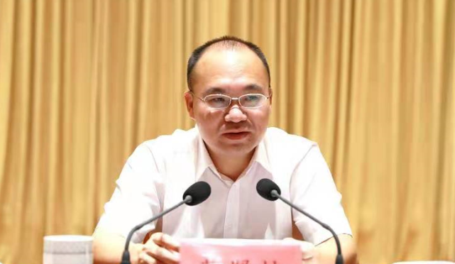 出席会议并讲话,县委副书记,县政府代县长何善祥主持会议,严志林