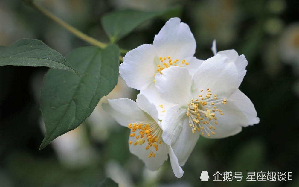 9月2日星座运势 巨蟹勇往直前 天蝎事半功倍 双鱼小心谨慎 腾讯新闻