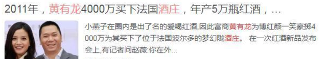 港媒曝赵薇奢侈生活：坐拥豪宅、酒庄和私人飞机，被封杀后仍富贵