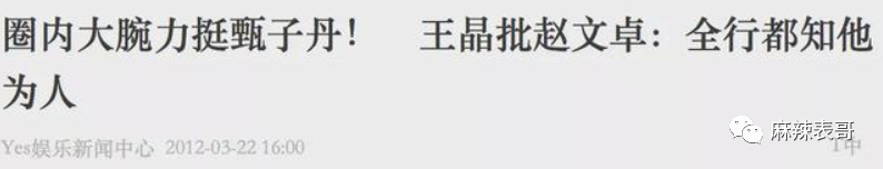 9年前赵文卓和甄子丹的骂战到底怎么回事？