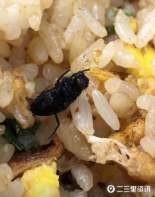 男子在沙县小吃英达路店炒饭里吃出苍蝇执法部门已责令改正