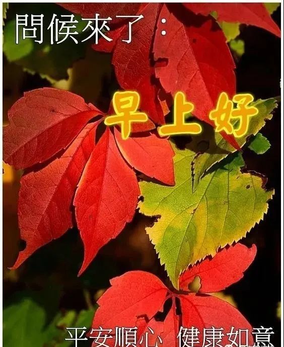 最漂亮秋日风景早上好问候图片带字精选秋天早安图片带字带祝福语