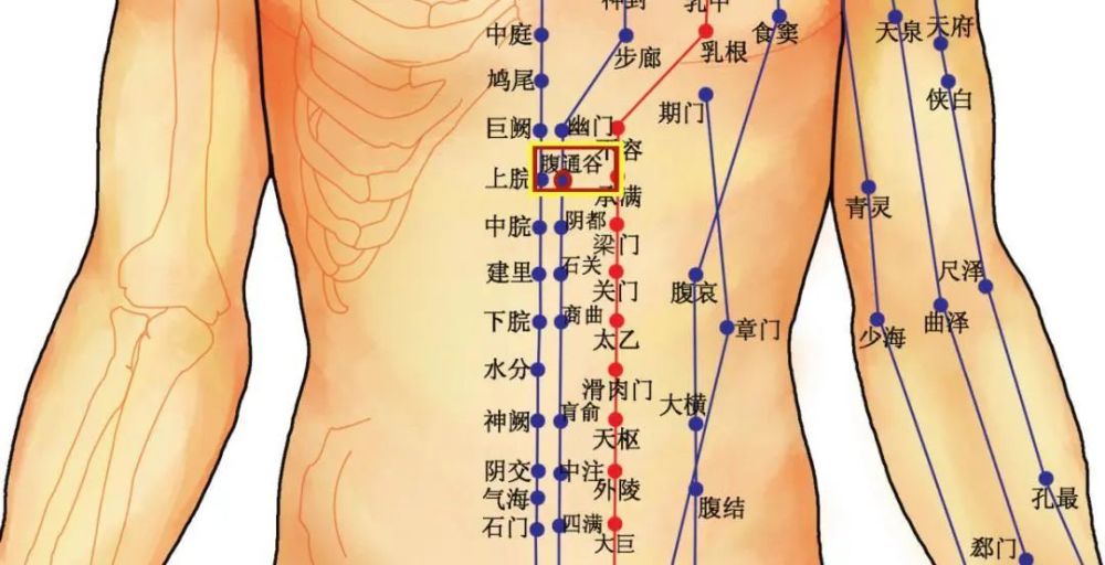 最简单的疏通腹部的方法,几乎可以调理一切慢性病!