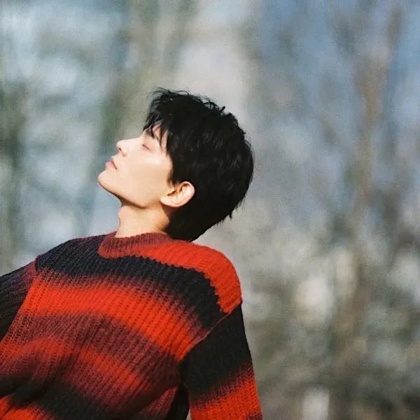 丁禹兮头像你是我唯一心动的角色