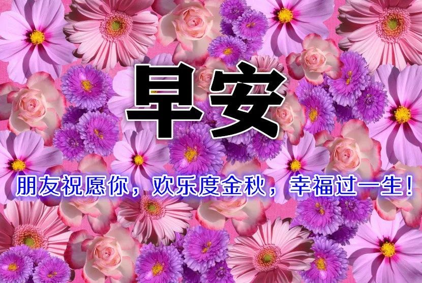 10月金秋漂亮的鲜花早上好图片表情大全 早上好问候语温馨短句 秋日