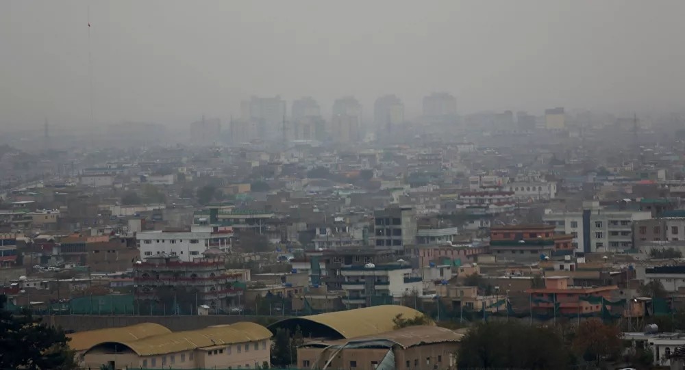 计量经济学及stata应用陈强涉嫌分裂种族歧视遭副总理再陷阿富汗美得13个萝卜兔子分萝卜数学题