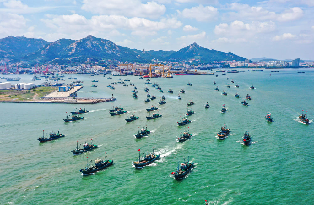 半岛聚焦海捕海鲜快到碗里来吃货扎堆渔港扫货大包小包拎回家下酒