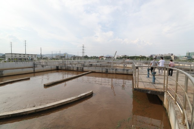 淡水河重见蓝刀鱼今年80岁的黄伯祖祖辈辈生活在惠阳淡水河边,曾经的