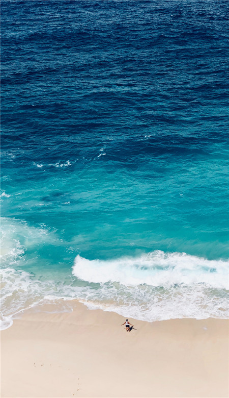 很舒心的经典海浪手机壁纸大海和海鸥皮肤图片大全