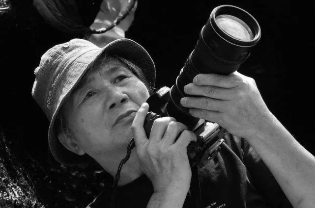 著名摄影家刘启后逝世,享年78岁