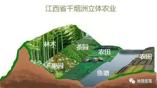 中国东南丘陵地区,四川西部和青藏高原等地的立体农业均比较突出
