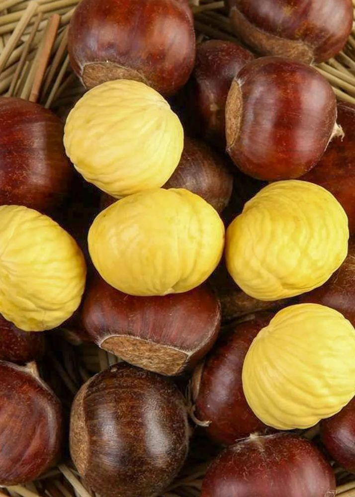 贡山的秋天,从一口板栗香开始