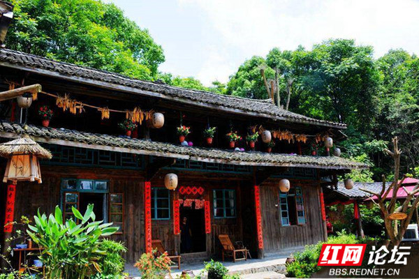 最美阳台花溪满庭芳老屋柴饭香