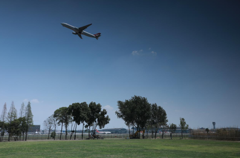 双流空港公园图片