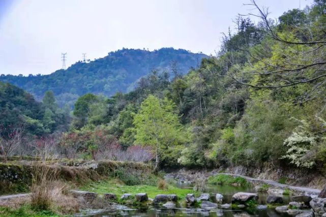 秋高氣爽,平陽這些網紅村可以安排上行程了