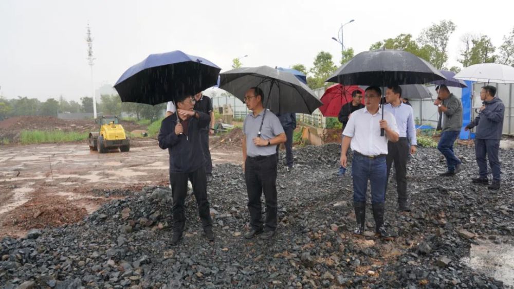 区委书记和丽川调研cop15会场周边市容整治情况