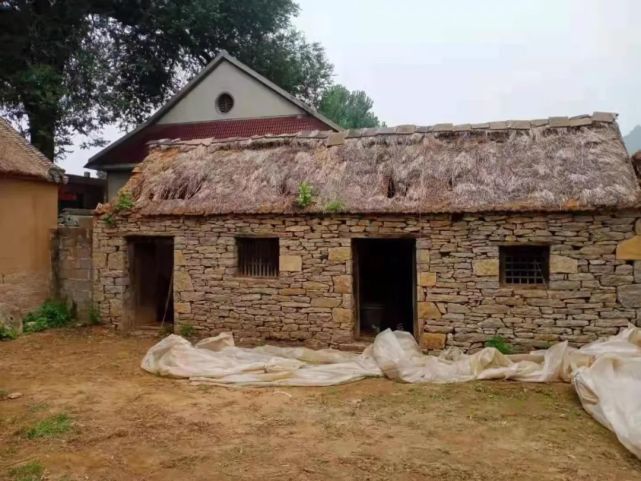 山东省扎实推进革命旧址抢险加固工作