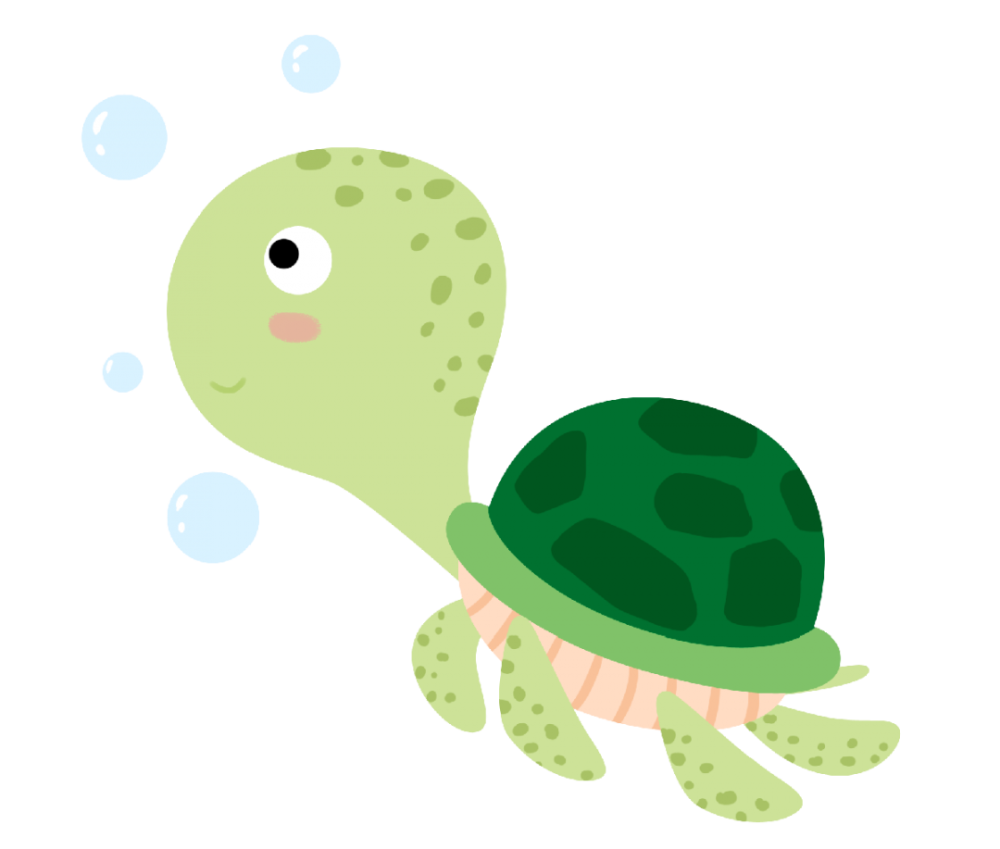 海洋生物多样性|小海龟的艰难求生路_腾讯新闻