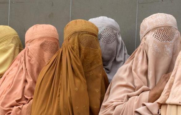 阿富汗同意女性工作为什么受到各界关注_腾讯新闻