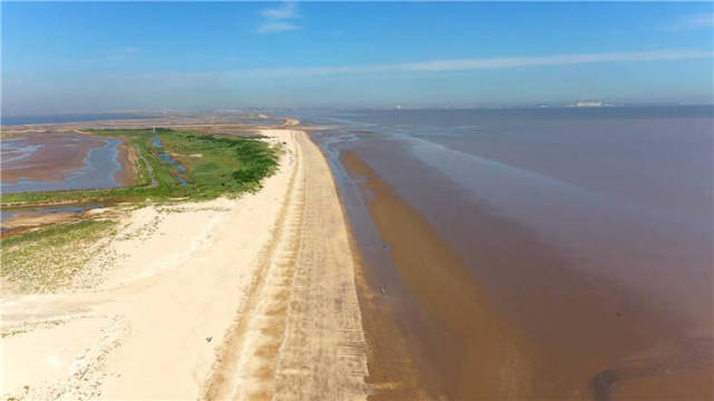 诗画山东|超美!无棣30公里绵延贝壳堤 尽显"黄金"海岸线