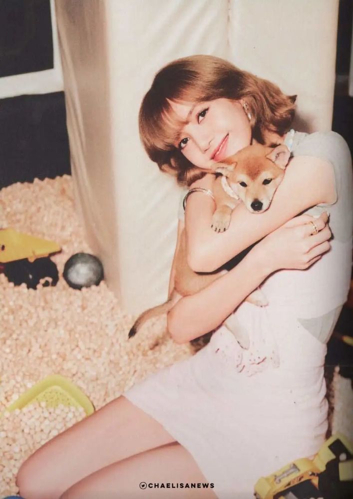 blackpink 夏日日记|lisa