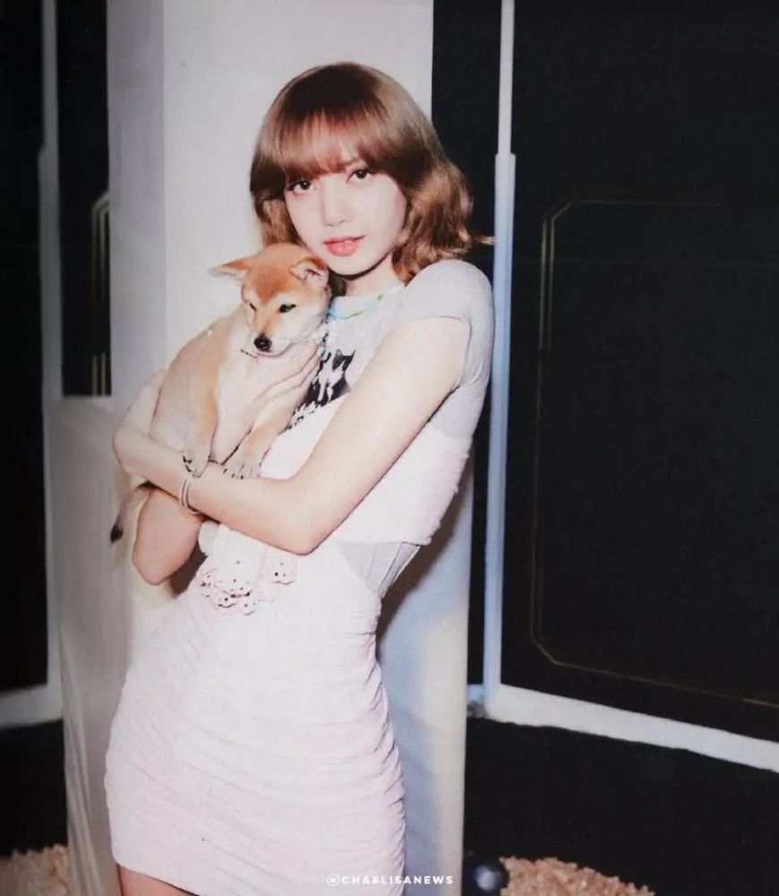 blackpink 夏日日记|lisa