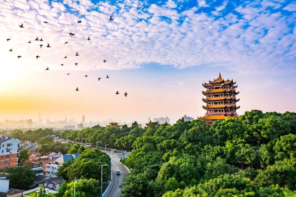 郑州的人口在增长吗_河南:净增人口534万,11市增长6市下降,郑州的增量占全省