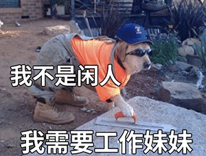 搞笑表情包我不是闲人我需要工作妹妹