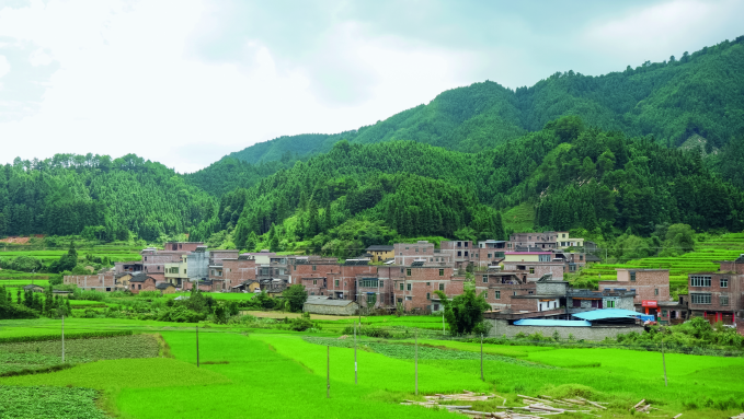 梅洞村村貌(韦光宾  摄)连山大肉姜又被称为辣山芋,品质独特,尤以梅