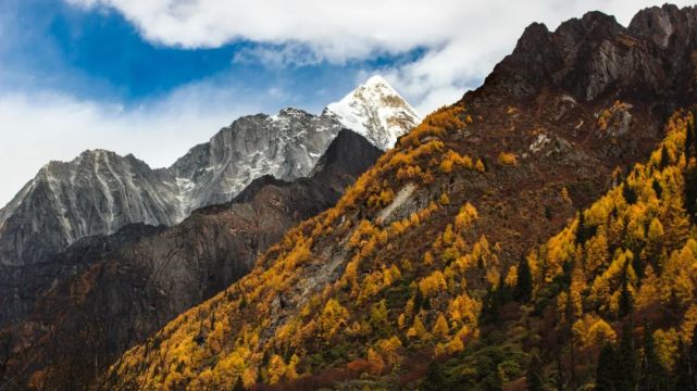 9月份去哪里旅游最好国内(9月份去哪里旅游最好国内一个人)