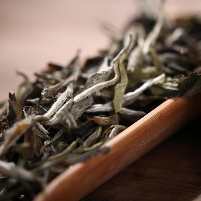 白茶贡眉,贡眉的特性揭秘