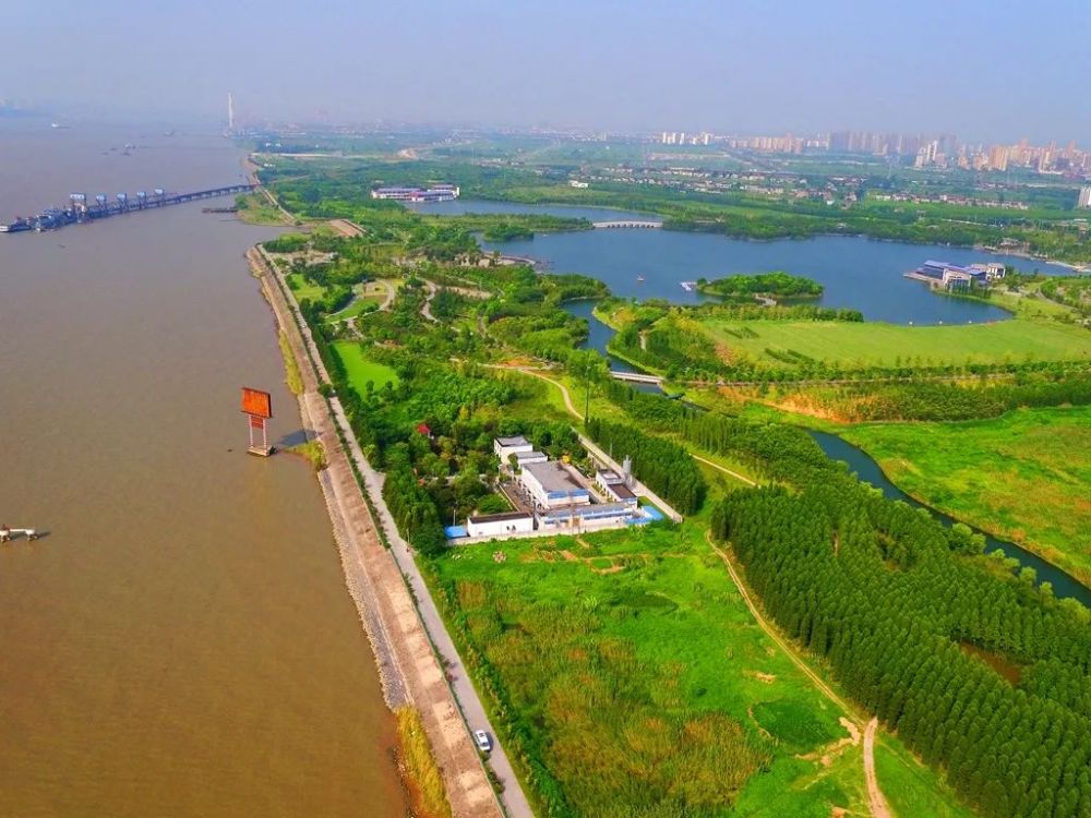【新靖江】江堤生态环境保护,他们在行动!_腾讯新闻