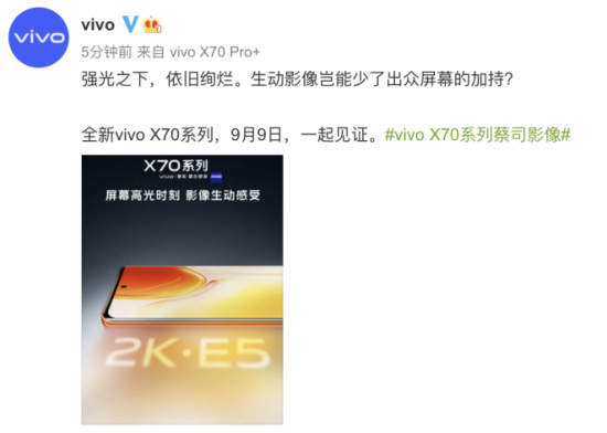 手机屏幕天花板！vivo X70系列搭载2K E5屏插图