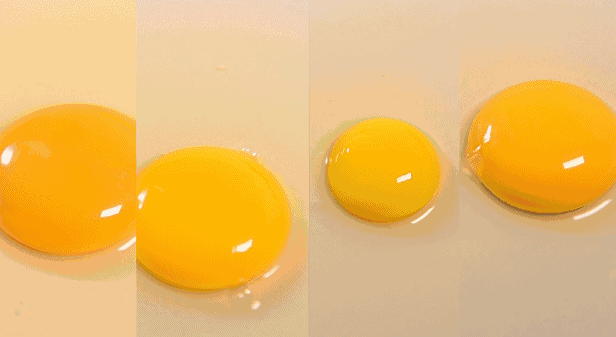 641