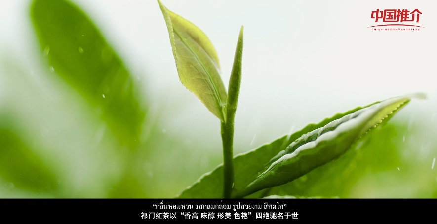 祁门红茶排行_今年6月农夫山泉、祁门红茶、盼盼等多家知名企业被世界聚焦(2)