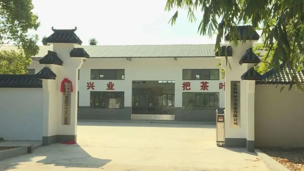 省农科院茶叶研究所和我市共建黄茶研究中心与生产示范基地