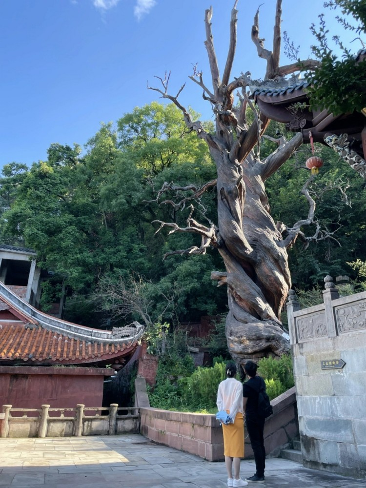 郑恺夫妇甜蜜出游，苗苗身材纤细状态好，两人搂肩牵手狂撒狗粮！