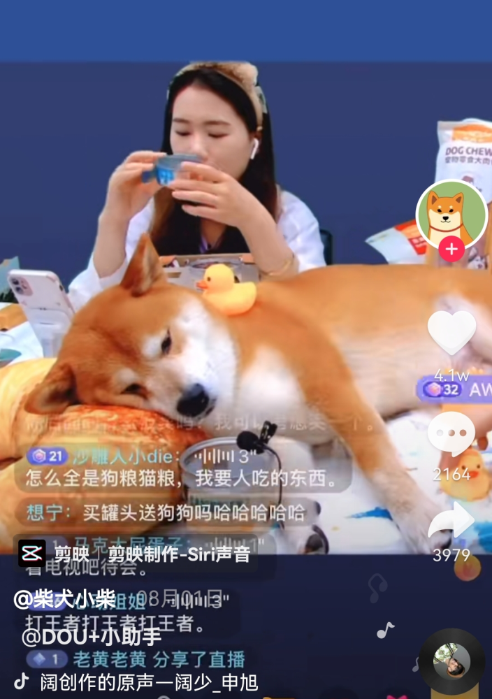 猴子带帽子狂猜成语答案是什么_疯狂猜成语之沐猴而冠的成语故事(2)