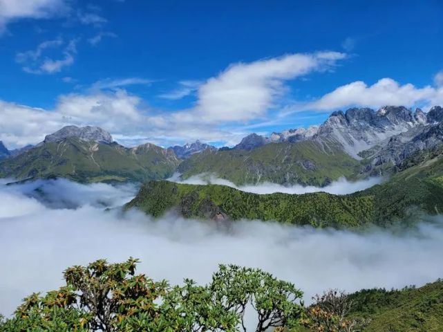 康定捧塔寶鼎山,雲海觀景,媲美牛背山!