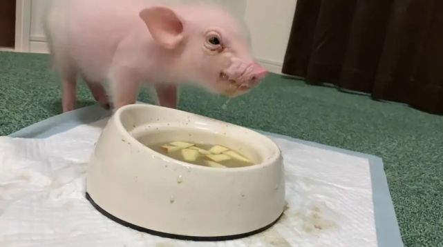 641