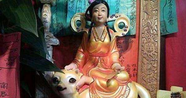 为什么黄鼠狼被叫做黄大仙