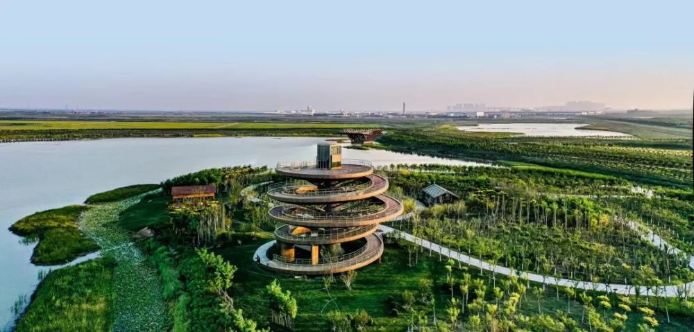 网信动态津南区开展点绿成金网络媒体看津南主题活动